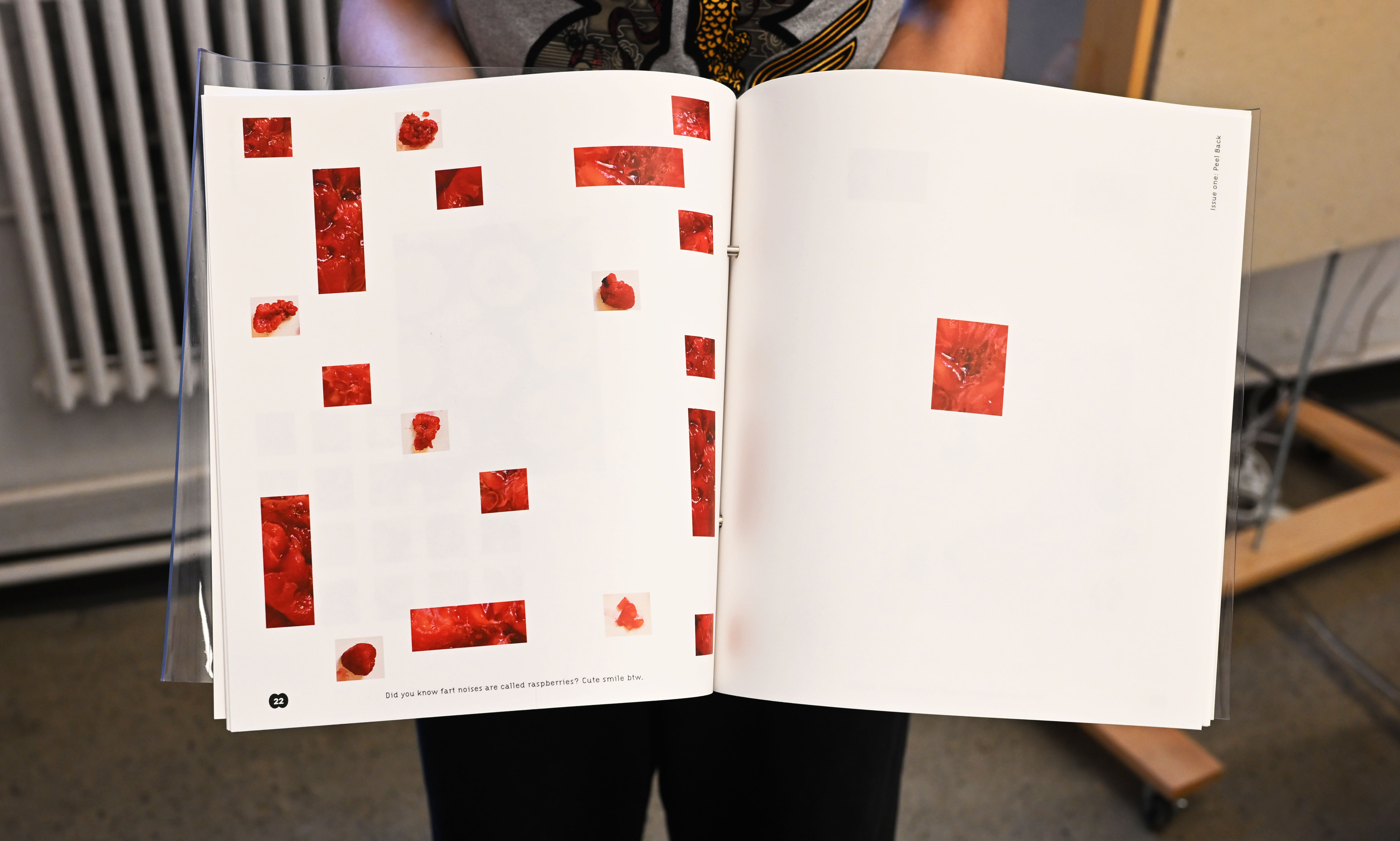 Magazine raspberries
