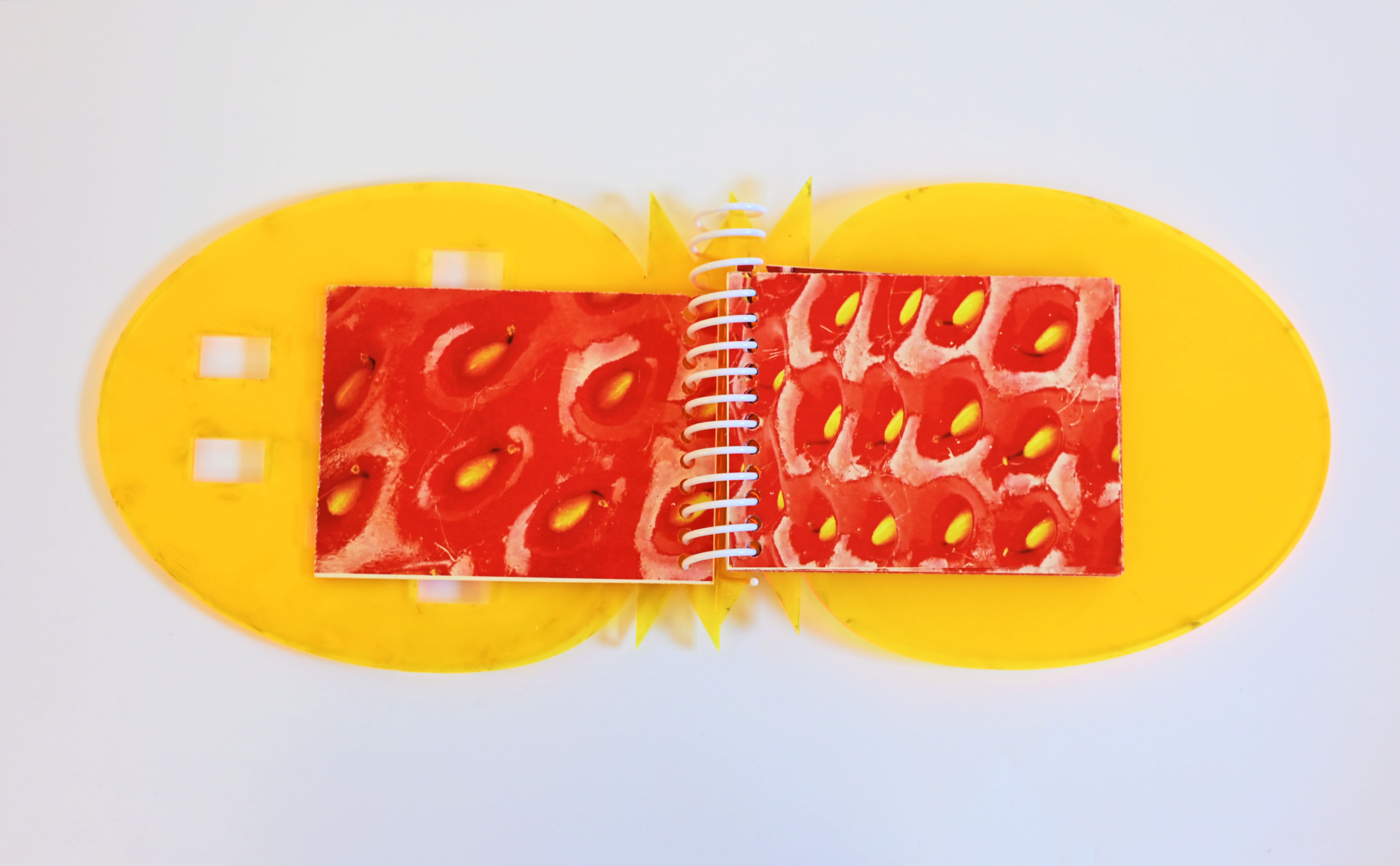 Strawberry book